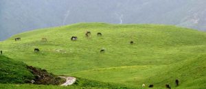 Where to go on these holidays? Uttarakhand and Himachal