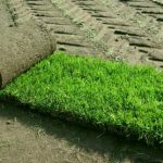 Picking the best artificial grass for you