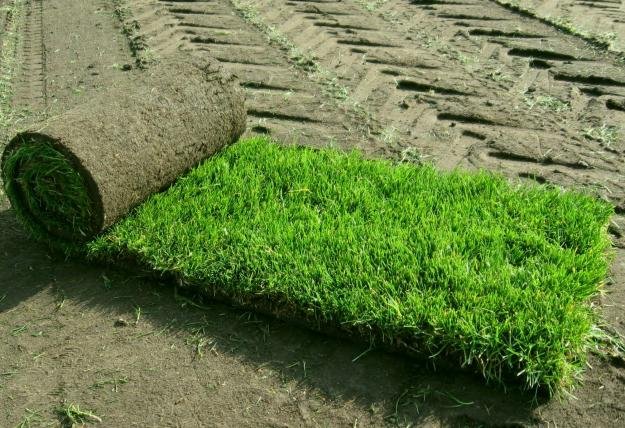 Picking the best artificial grass for you