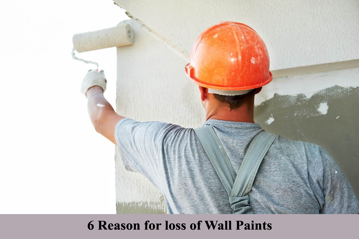6 Reason for loss of Wall Paints