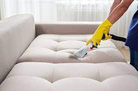 Couch Cleaning Kew