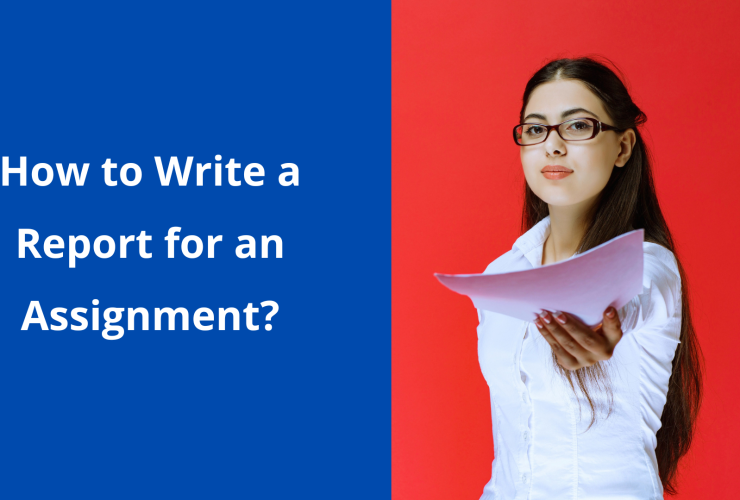 management assignment help