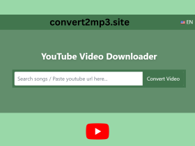YouTube Video Downloader-convert2mp3.site