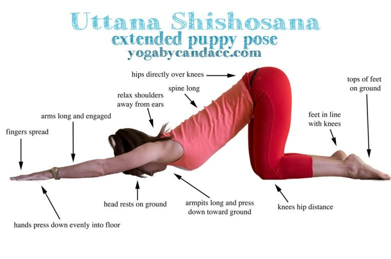 How Uttan Shishosana works, how it works, and how it harms