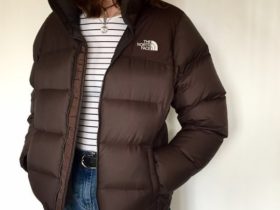 The Brown North Face Puffer Jacket