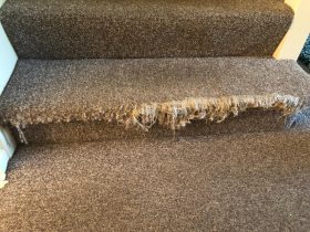 Carpet Repair Sydney