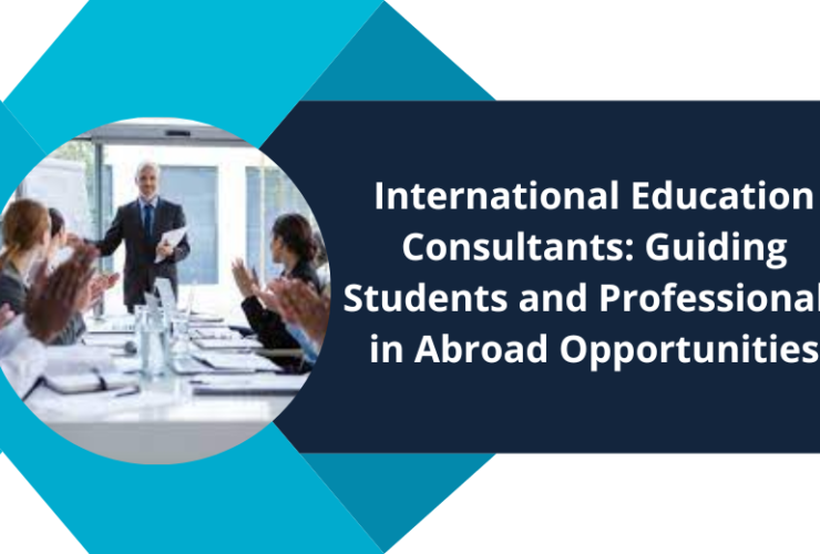 International education consultants